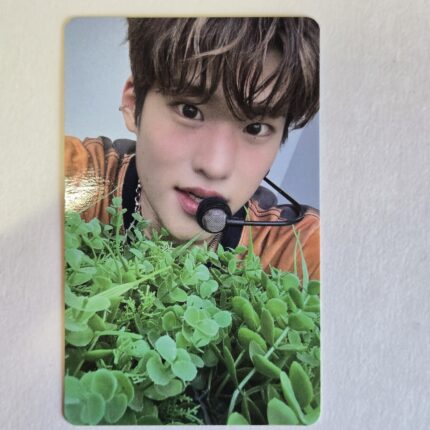 RIIZE RIIZING Lucky Draw Photocard SOHEE Weverse