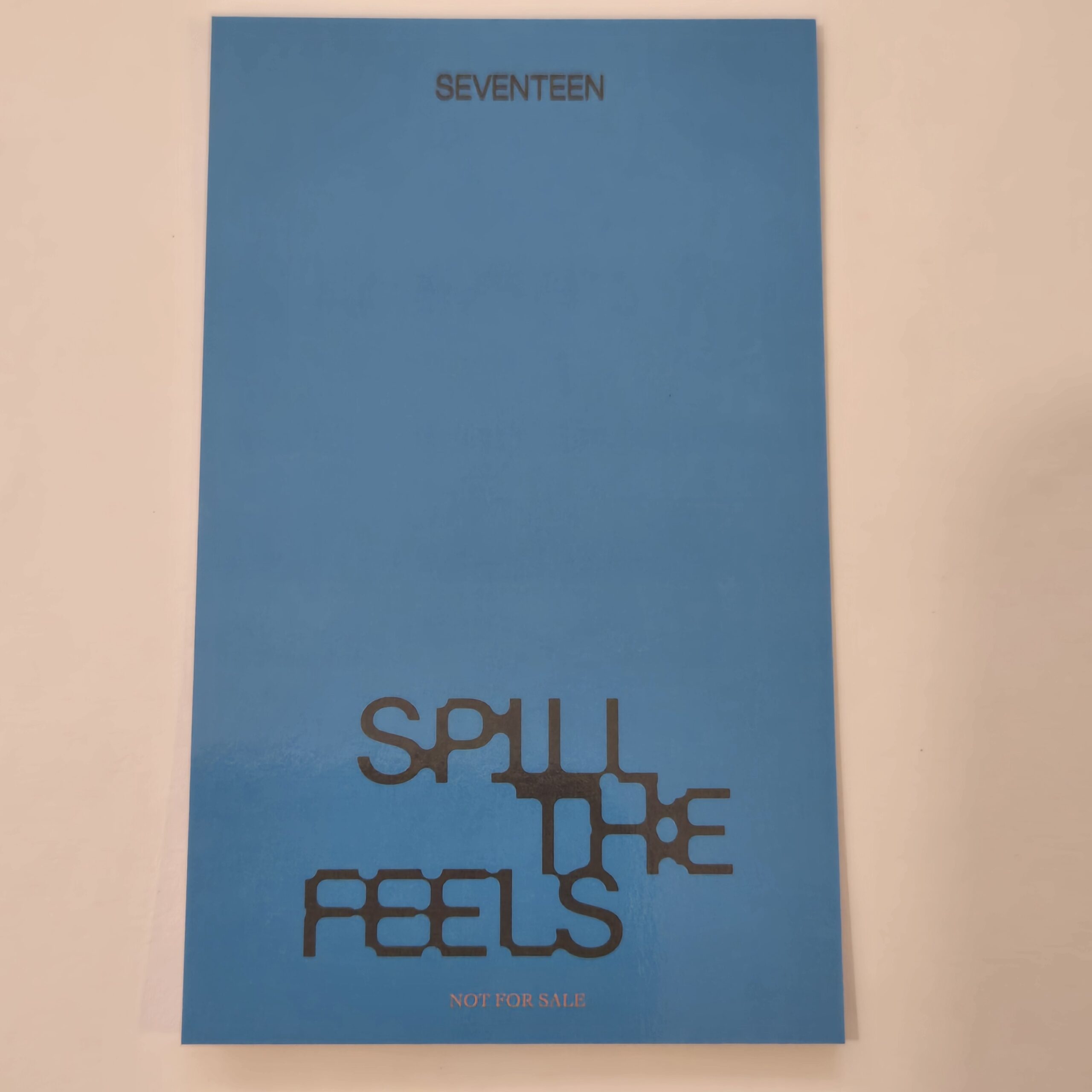 Seventeen Spill the Feels UMS 12